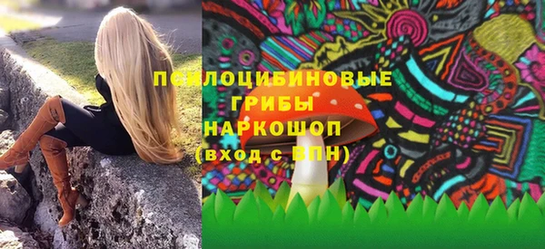 стаф Белокуриха