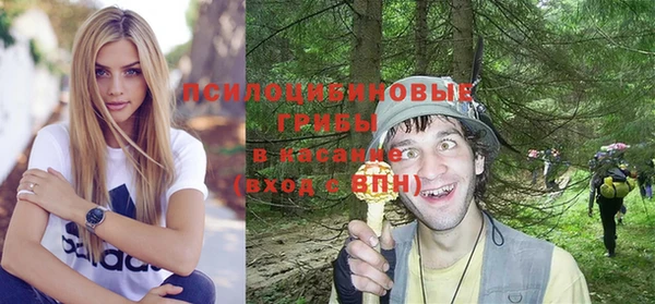 стаф Белокуриха