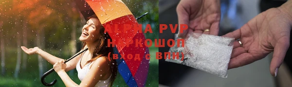 стаф Белокуриха