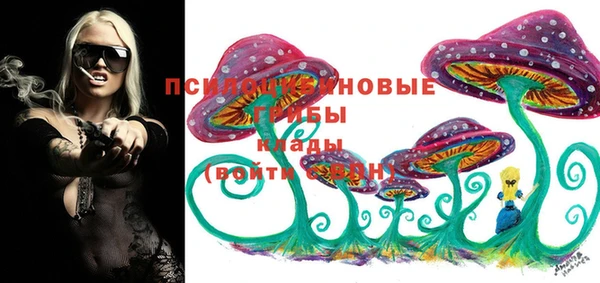 мет Богданович