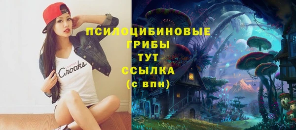 ALPHA PVP Беломорск