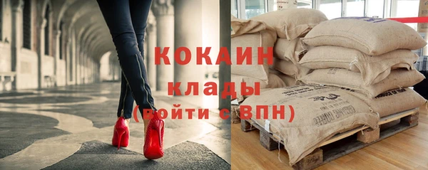стаф Белокуриха